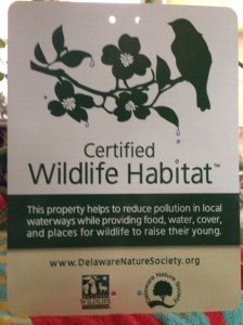 Our property is a Certified Wildlife Habitat, sanctioned by the Delaware Nature Society