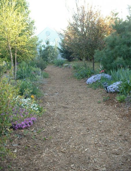 One year later, perennials and trees were planted along the path's outer edges